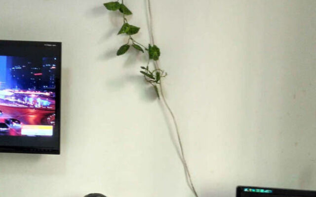 Red Maple Hotel- Jiujiang