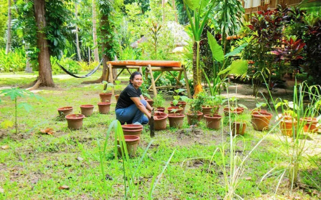 Water To Forest Ecolodge