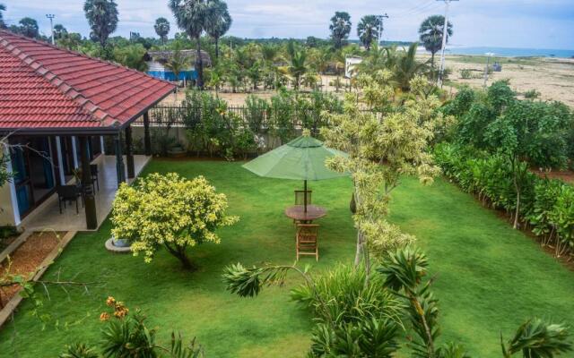 Dream Garden