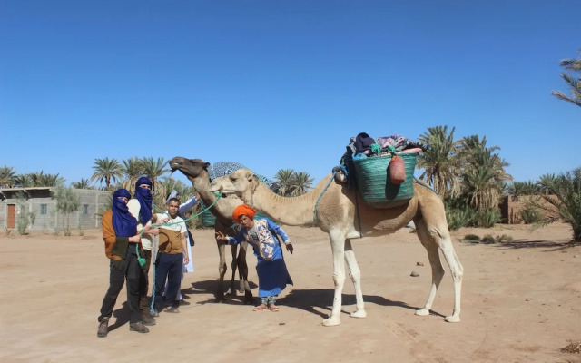 Kasbah Desert Camp