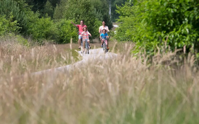 Modern Chalet With Wifi in the Green Achterhoek