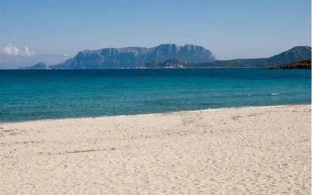 Bed & Breakfast Nettuno