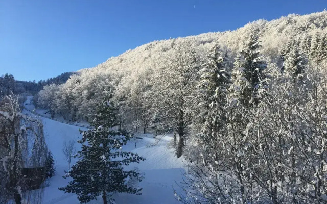 CasaDalsass DolomitiPaganellaLagoMolveno