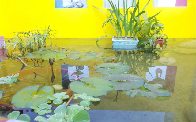 Dreamer 24 Guest House