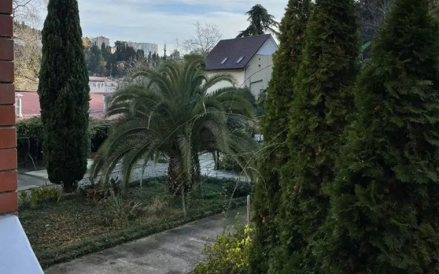 Оазис спокойствия