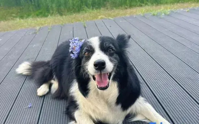 Dali Yigui Seaview Resort Villa Meisu