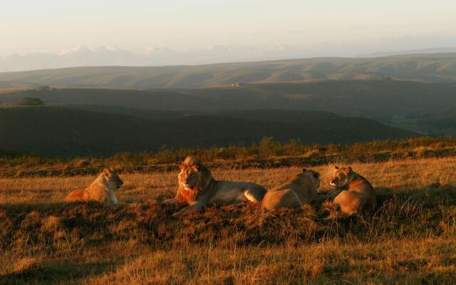 Gondwana Game Reserve