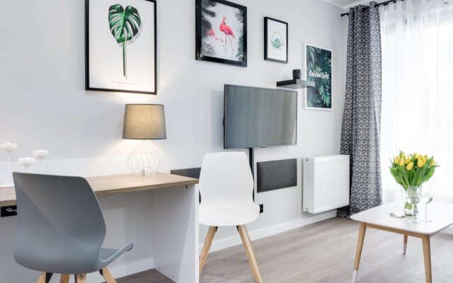 Modern Studio Apartment