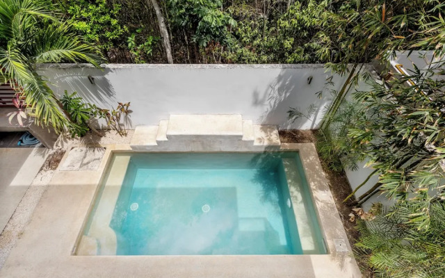 Senderos De Ciudad Mayakoba