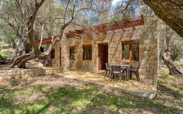 Stonehouse in Olives