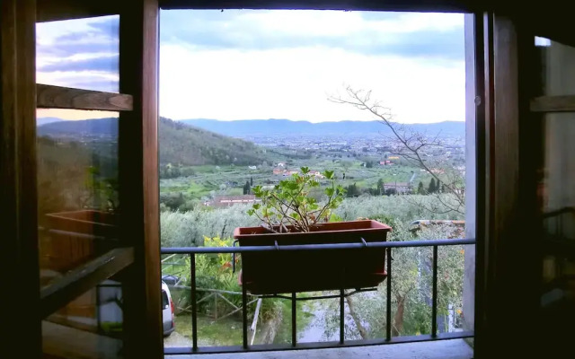 Azienda Agriturismo Villa Pacinotti