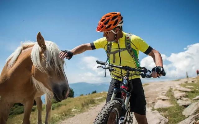 Residence Villa Stella