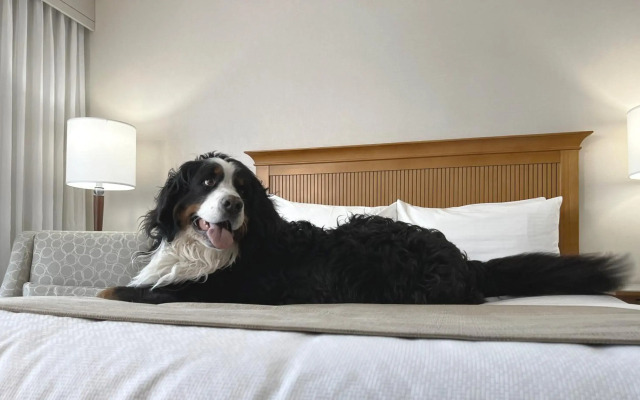 Coast Capri Hotel