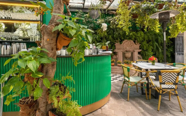 Orchid House Mexico City