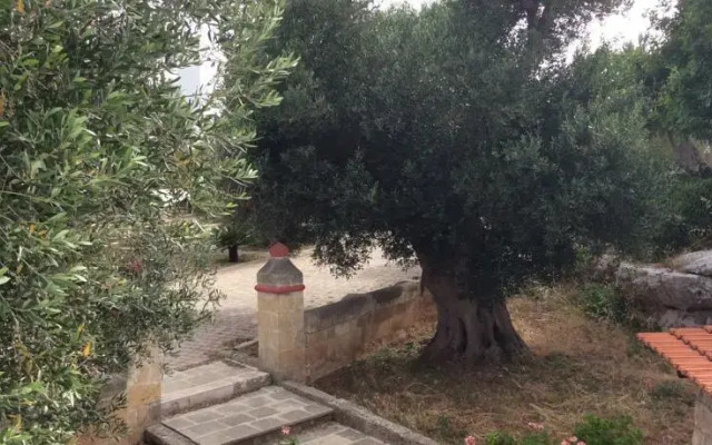 B&B Le Amarene