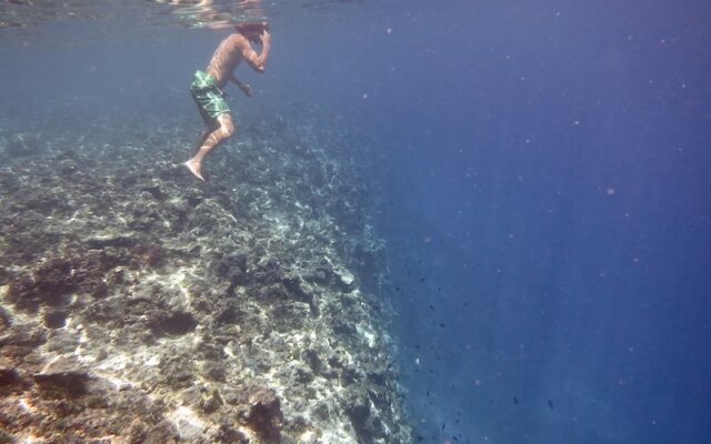 Dive Point Alcoy
