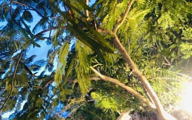 The Dream Garden Bungalow