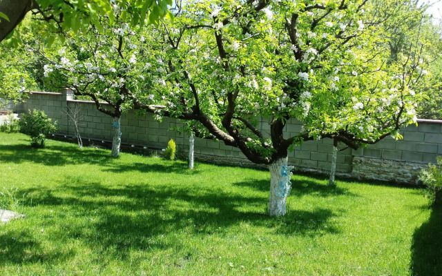 Villa Detelina Balchik