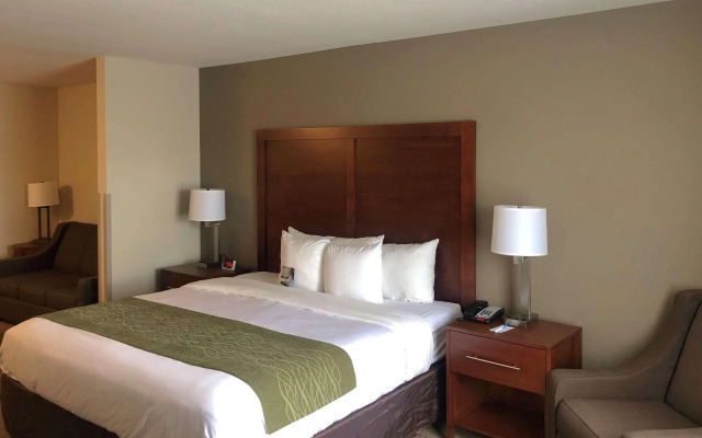 Comfort Inn And Suites Custer