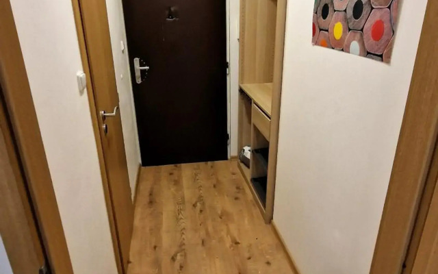 Apartment in the centre of the Prague