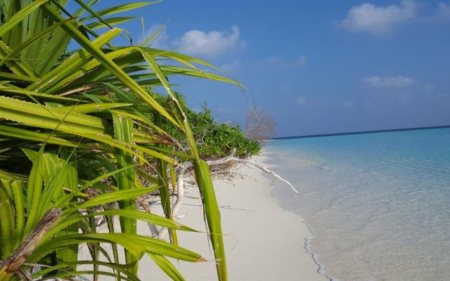 Ithaa Beach Maldives