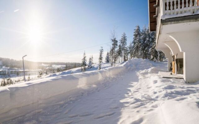 Alppikylä 1b paritalo