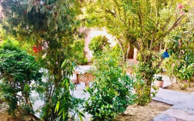 saffron guest house & hostel