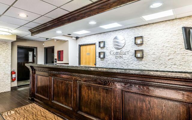 Comfort Inn Detroit Downtown