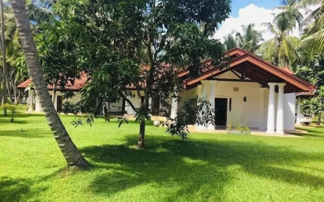 Coco Villa Peach Tree
