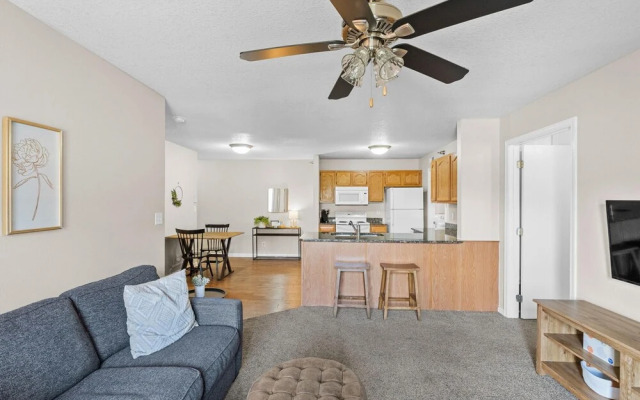 Onsite Gym Pool Fast Wifi More