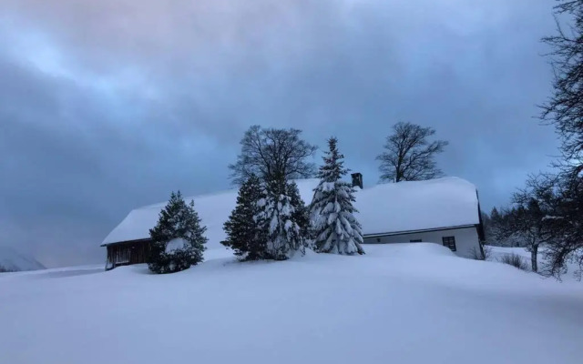 Das Haus am Berg: Nestelberg17