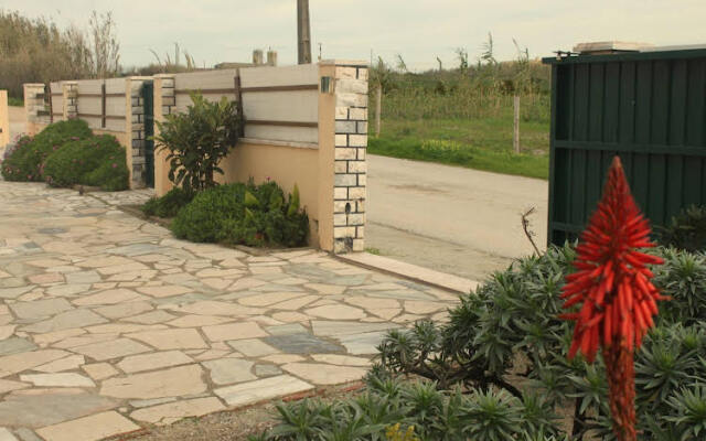 Almagreira Surf Hostel