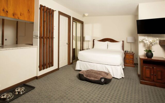 Blackcomb Springs Suites by CLIQUE