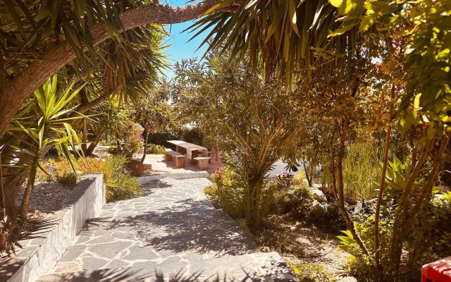 Casa Rico Frade Garden