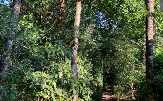 De Spitse Egel: ontdek de pareltjes in de natuur!