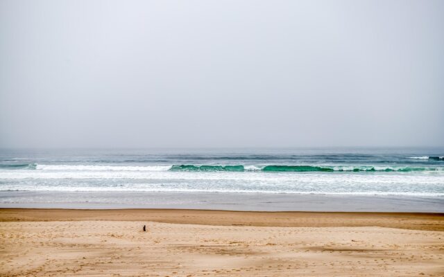 Wave Catchers