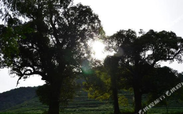 Xuanzhe Tea House Inn