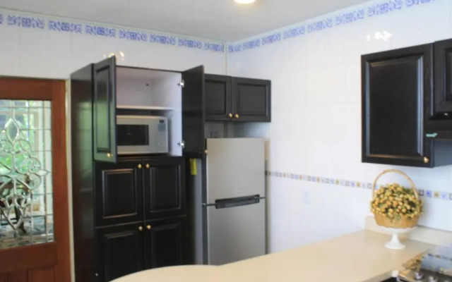 Luxurious & Chic 2 BR Apt Polanquito Lincon Park