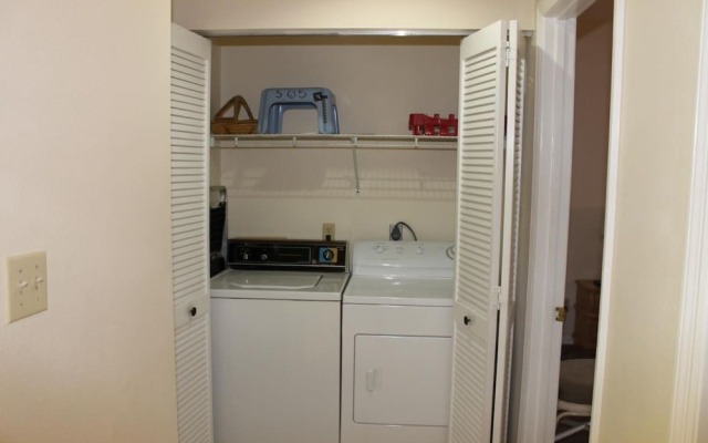 Beach Palms 505