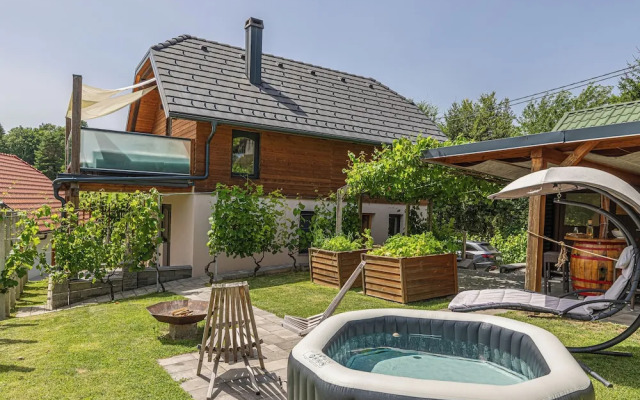 Vineyard cottage Matej