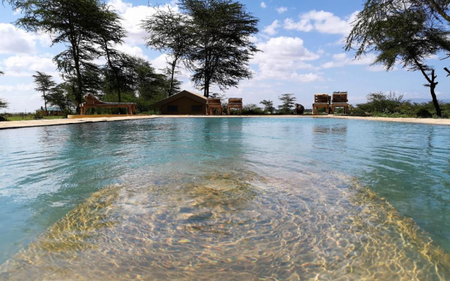 Africa Safari Lake Manyara