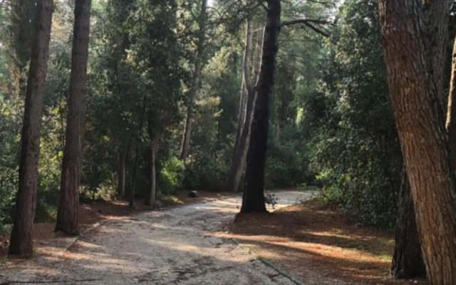 Vila Tena Rovinj Croatia