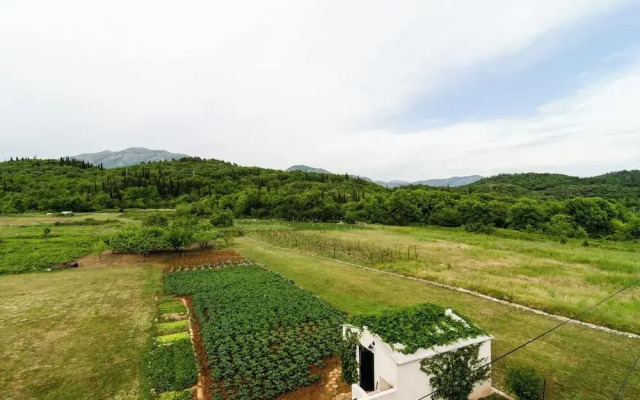 Apartments Banac