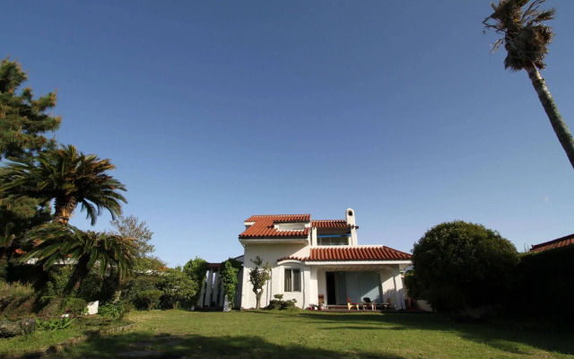 Palm Tree Villa