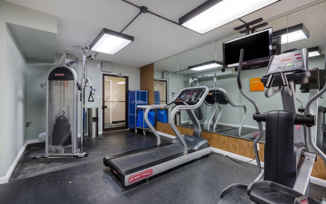 Comfort Inn & Suites Alexandria West