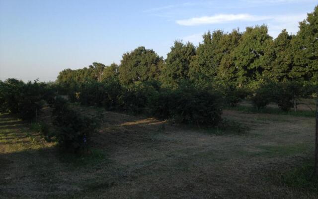 Agriturismo La Dondina