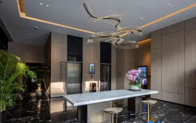 Stargale's Collection