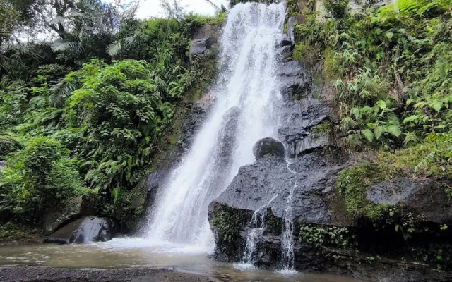 Tetebatu Valley Bungalows