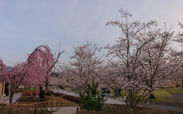 Hotel Arashiyama