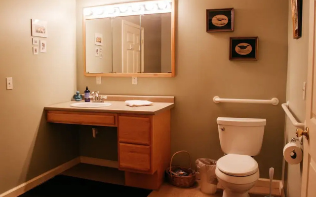 Wellnesste Lodge and Cabin Rentals